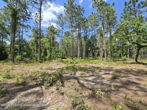 0 Catbird Rd, Brooksville, FL, 34614 | Card Image
