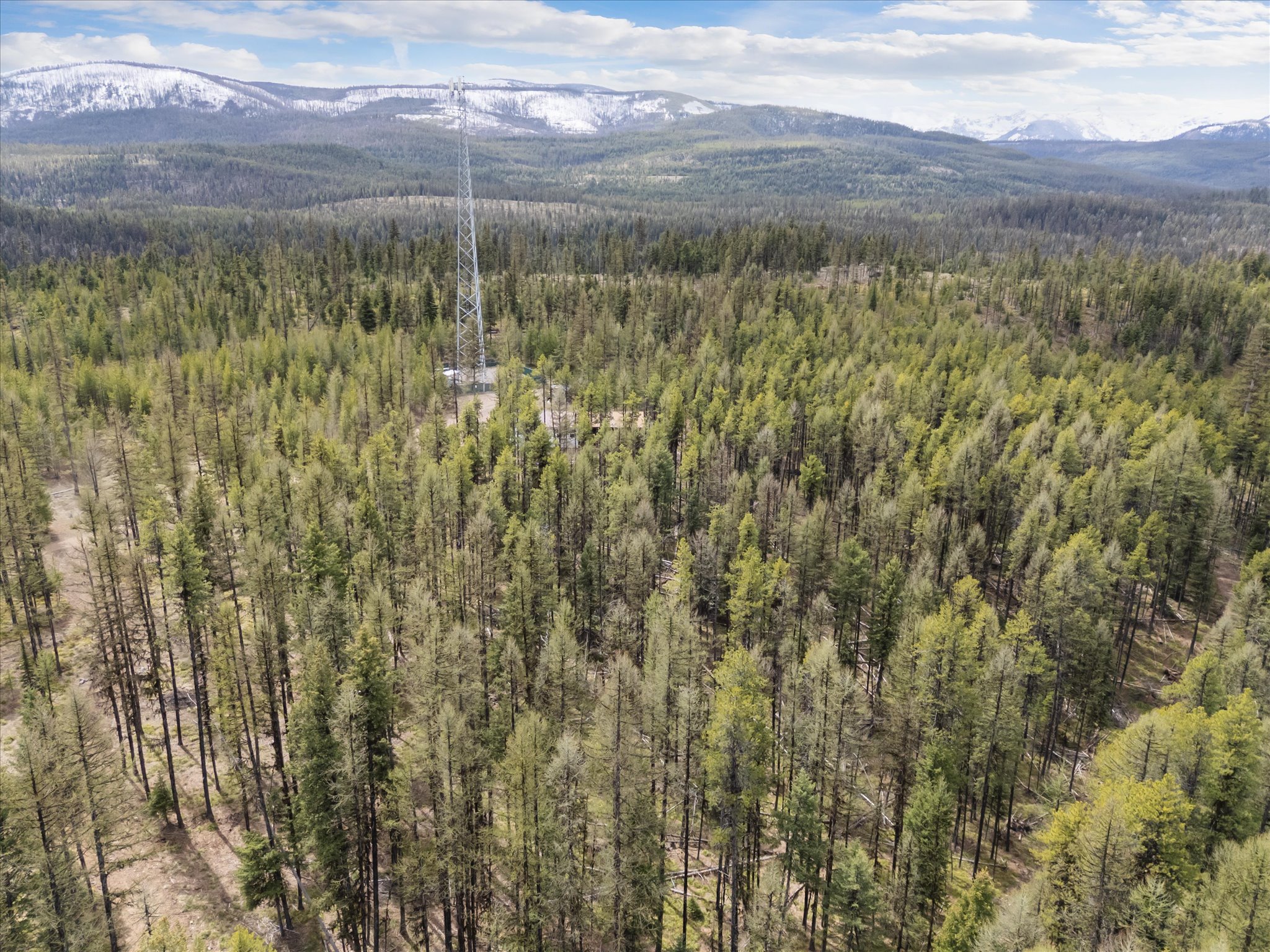 Land in Seeley Lake 5