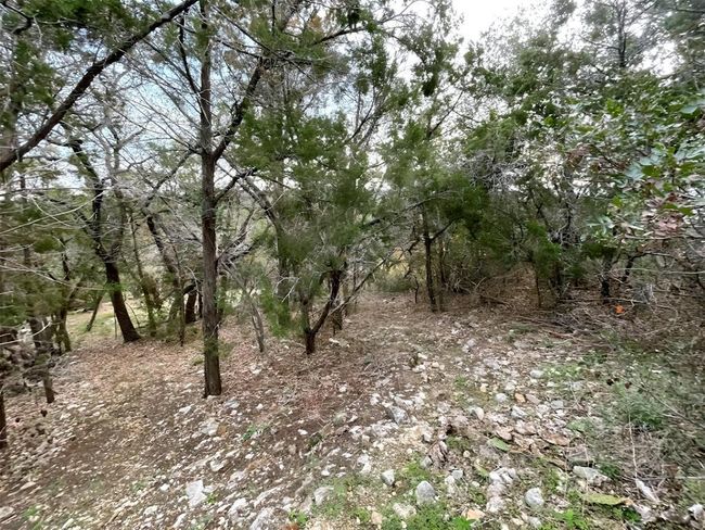 View of nature | Image 13