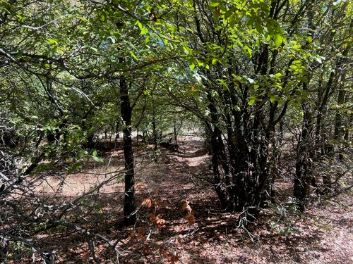 TBD Uselton Rd, Loving, TX, 76460 | Card Image