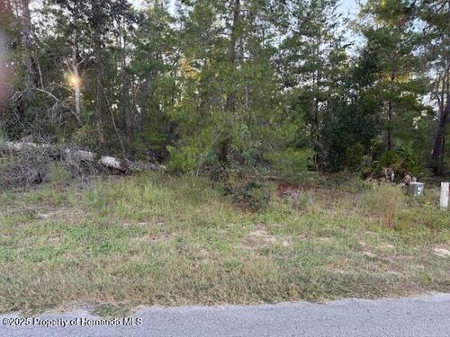4 Bellis Ct, Homosassa, FL, 34446-5608 | Card Image