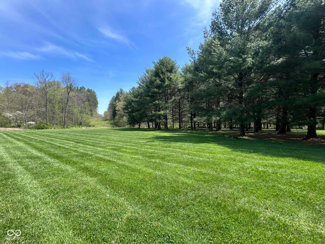 view of yard | Image 26