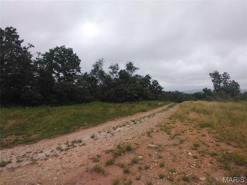 8 Tract 8 Off Hwy O, Belleview, MO, 63623 | Card Image