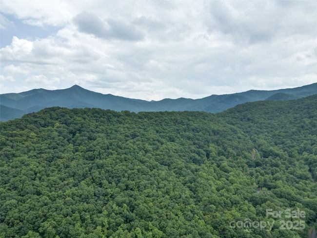000 White Rock Branch Rd, Home with 0 bedrooms, 0 bathrooms and null parking in Candler NC | Image 31