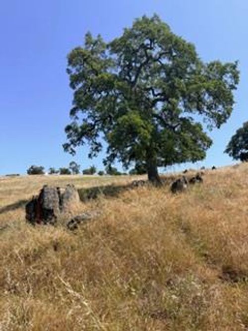 9596 Paraiso Blvd, La Grange, CA, 95329-9632 | Card Image