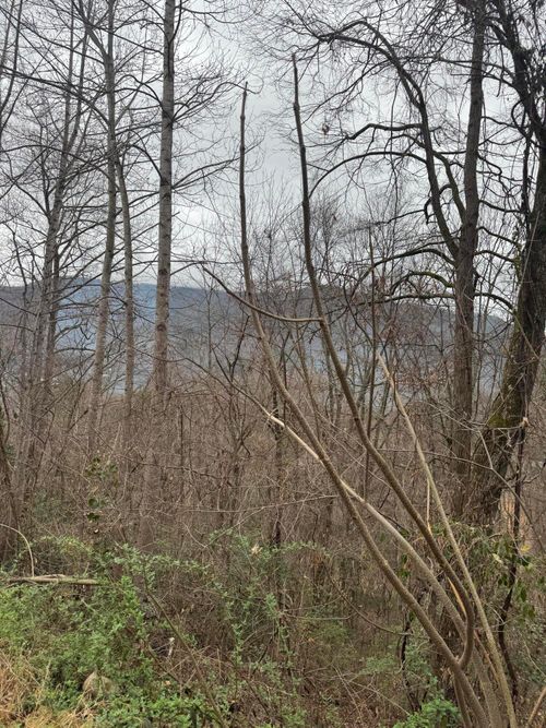 2190 Stoneview Way, Cosby, TN, 37722-3050 | Card Image