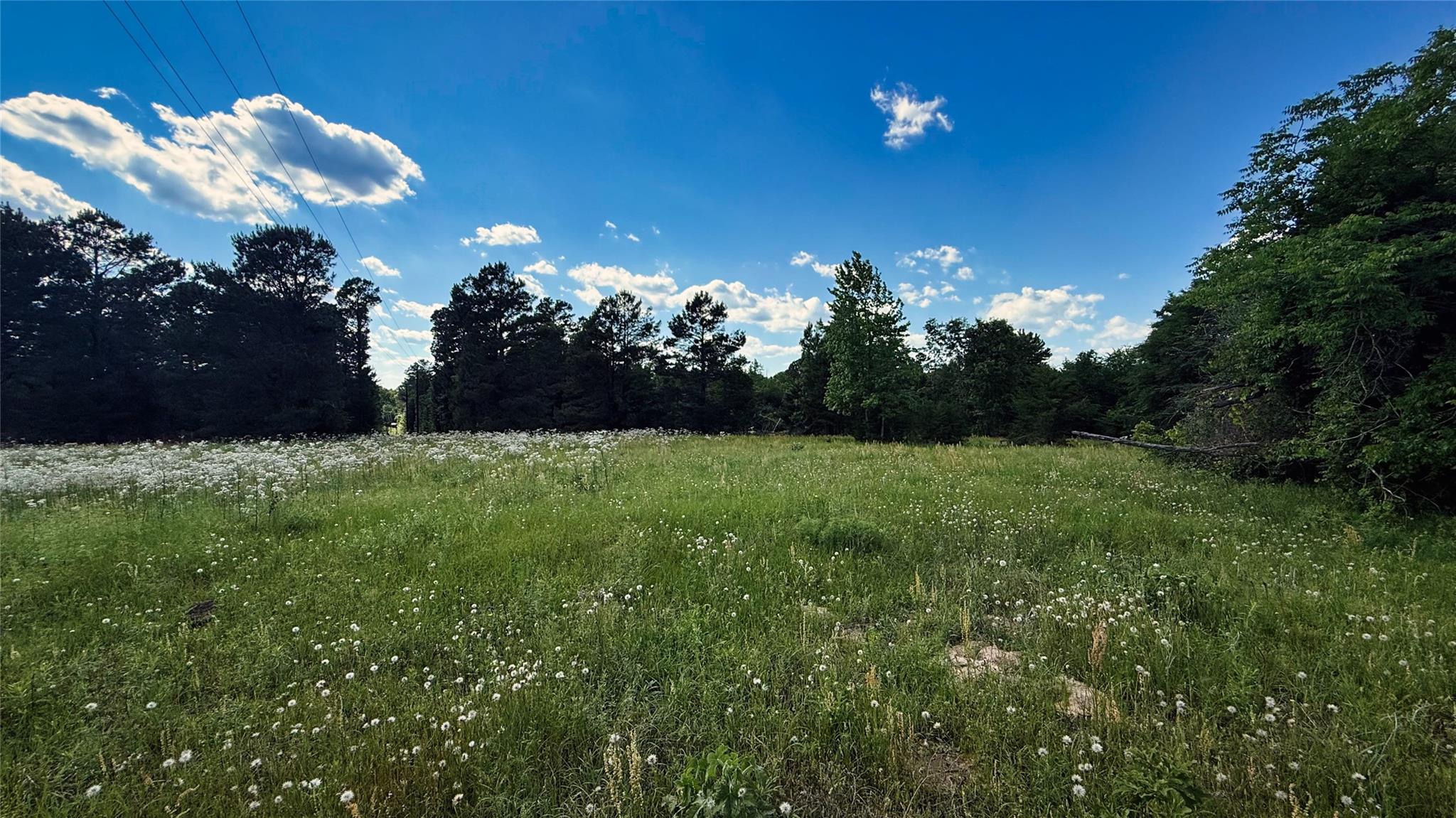 Land in Henderson 5