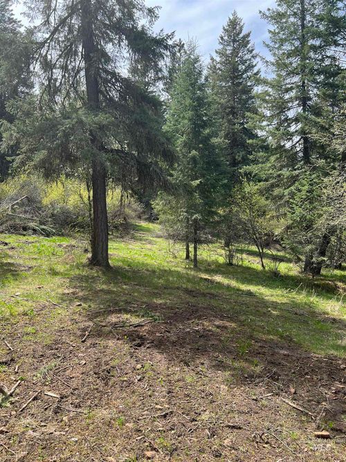 Parcel B Elk City Wagon Rd, Stites, ID, 83552 | Card Image