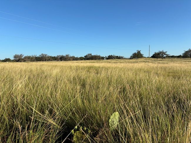 20 - 183 Lipan Loop Nw, Home with 0 bedrooms, 0 bathrooms and null parking in Harper TX | Image 5