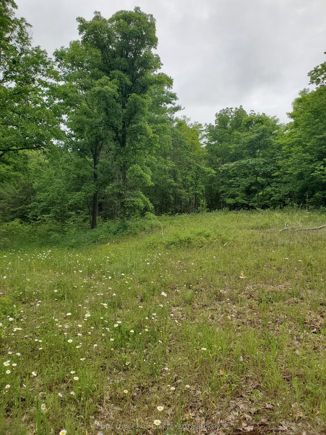1891 Mountain Rd, Home with 0 bedrooms, 0 bathrooms and null parking in Tamworth ON | Image 4