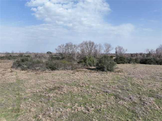 Property is partially cleared and has native grasses. | Image 26