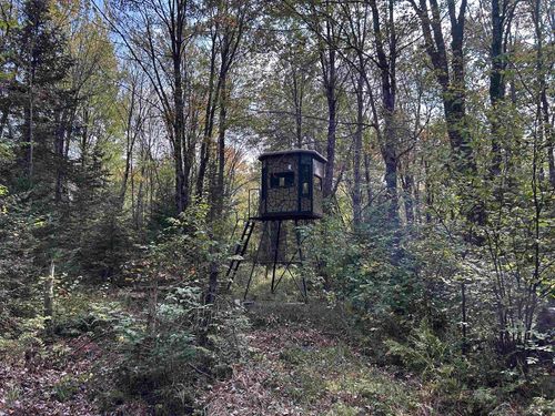 W13821 Lloyd Creek Road, VILAS, WI, 54435 | Card Image