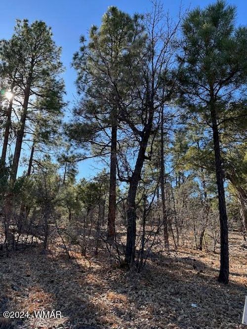 1311 W Snow Creek Trl, Show Low, AZ, 85901-3657 | Card Image