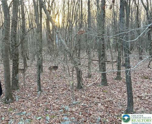 36 Occoquan Trl, ALBRIGHTSVILLE, PA, 18210-3630 | Card Image