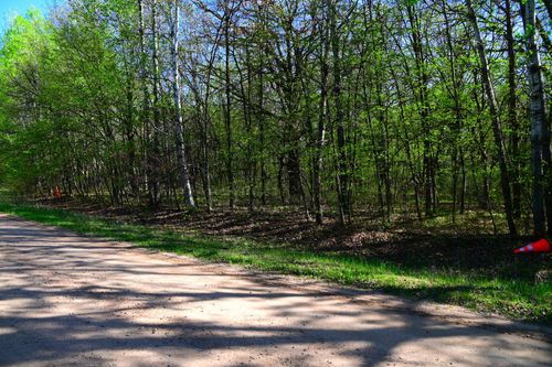 28329 Orchard Drive, Browerville, MN, 56438 | Card Image