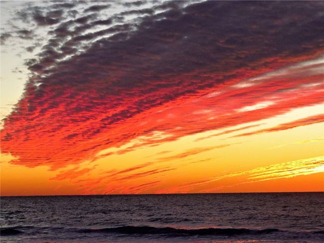 Amazing Venice Beach sunset | Image 38