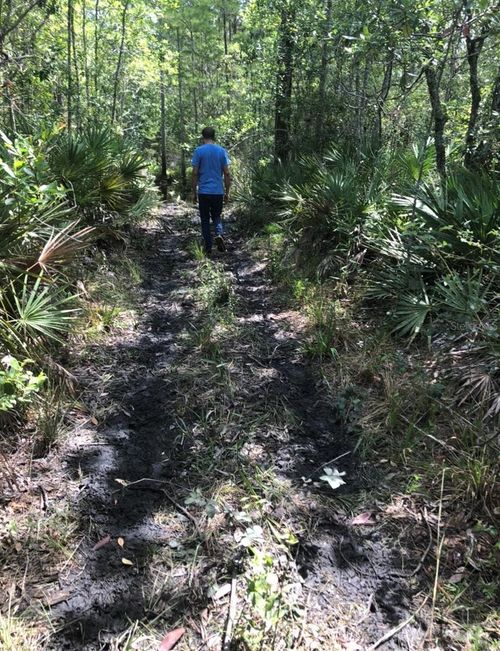 2449 Old Train Rd, Deltona, FL, 32738-0804 | Card Image