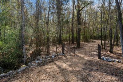 000 Highway 98 Highway, Home with 0 bedrooms, 0 bathrooms and null parking in Tylertown MS | Image 3