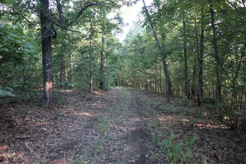 TBD Wynona Rd, Ash Flat, AR, 72513 | Card Image