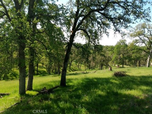 0 Rail Bridge Rd., Palermo, CA, 95968 | Card Image