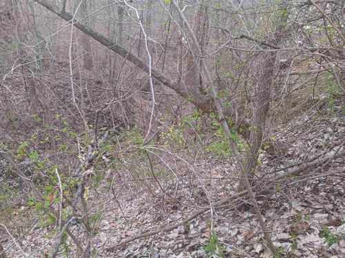 10801 Buckskin Rd, Poland, IN, 47868-7035 | Card Image