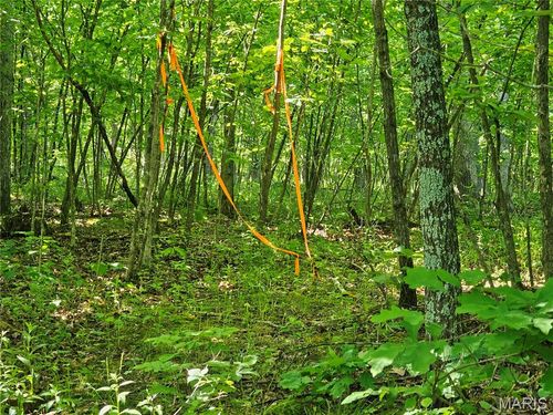 8+/- ac Walker Road, Troy, MO, 63379 | Card Image