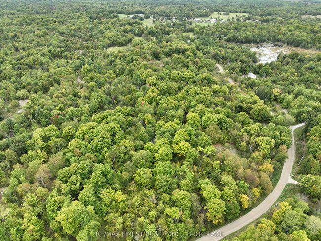 1147 Cronk Rd, Home with 0 bedrooms, 0 bathrooms and 4 parking in Parham ON | Image 5