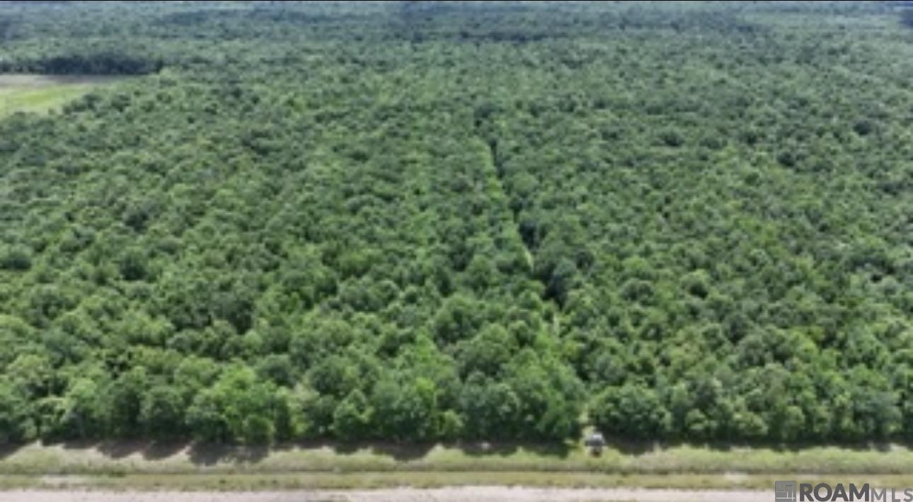 Land in Thibodaux 2