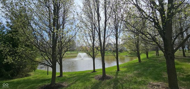 water view | Image 27