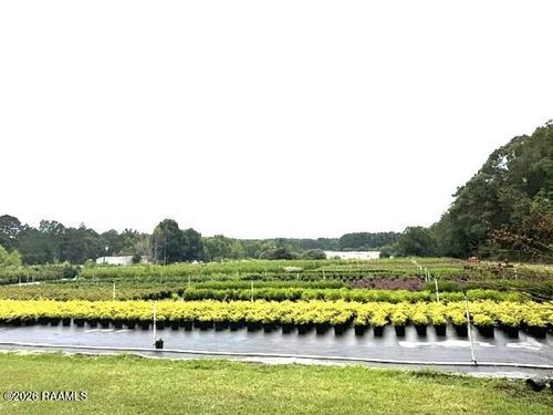 170 Oil Field Road, Glenmora, LA, 71433 | Card Image