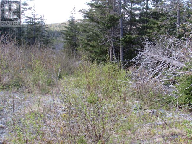 37-41 A Conception Bay Highway, Home with 0 bedrooms, 0 bathrooms and null parking in Harbour Main NL | Image 11
