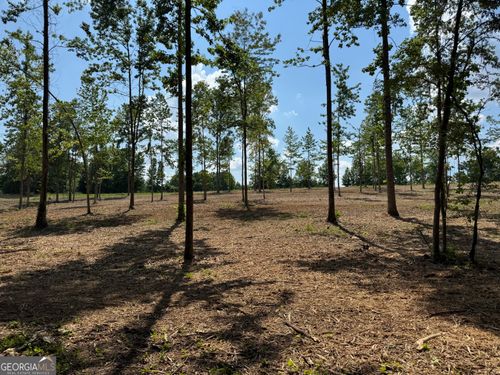 LOT 3 Happy Hollow Rd, ROOPVILLE, GA, 30170-4202 | Card Image