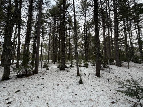 PRCL 18 Camp Nokomis Rd, Mercer, WI, 54547 | Card Image