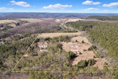 166 Springer Rd, De Ruyter, NY, 13052 | Card Image