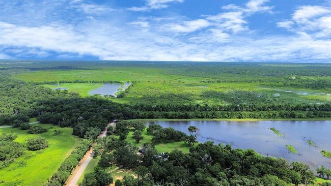 Enjoy private access to the Brazos Bend River, a community park with a lake, and proximity to Brazos Bend State Park—adventure and tranquility all around | Image 40
