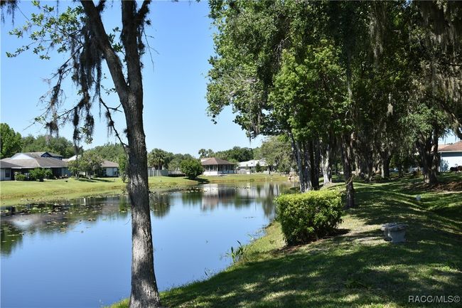 Waterways meander behind most streets, part of common area. | Image 5