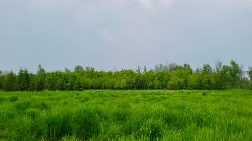 1 Seven Corners Rd, New Holstein, WI, 53061 | Card Image