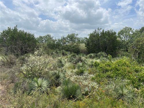 106 Hilldale, Granite Shoals, TX, 78654 | Card Image