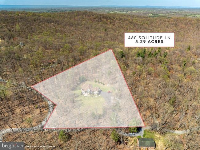 460 Solitude Ln, House other with 4 bedrooms, 5 bathrooms and null parking in Boyce VA | Image 5