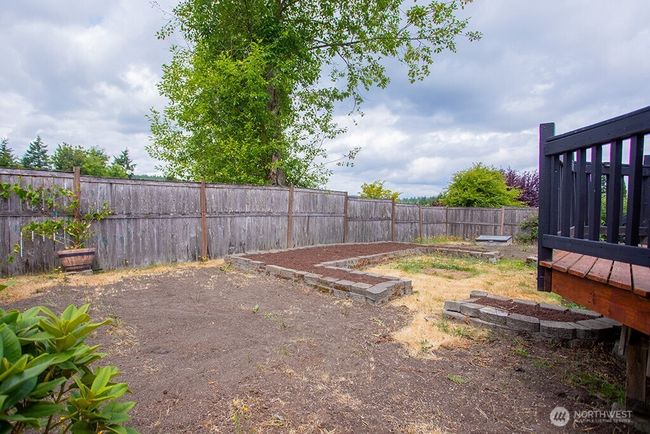 Back yard ready for a new start | Image 21