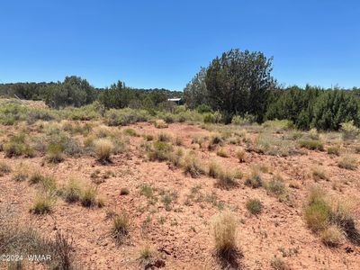 Navajo 1 | Image 1