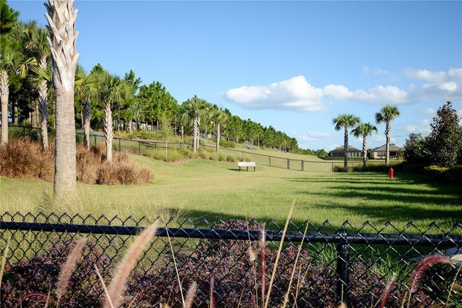 1046 Timbervale Trail, House other with 3 bedrooms, 3 bathrooms and null parking in CLERMONT FL | Image 66