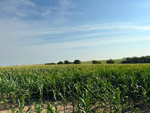 00000 Windmill Rd, Minneapolis, KS, 67467 | Card Image