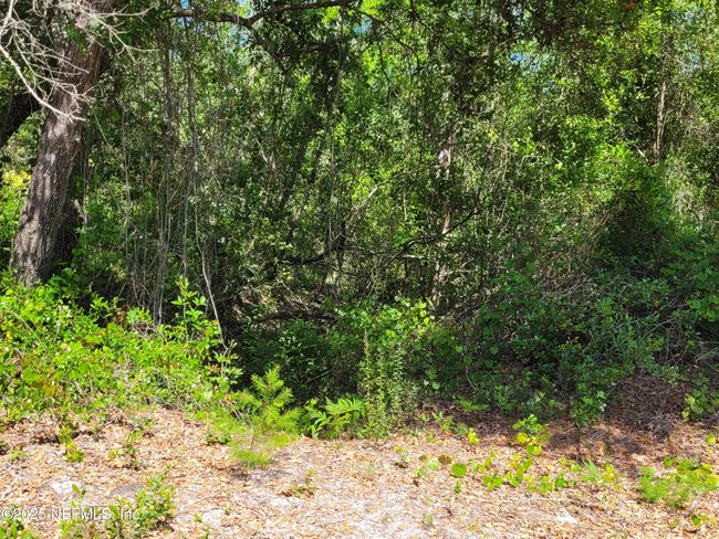 2155 State Road 40, Home with 0 bedrooms, 0 bathrooms and null parking in De Leon Springs FL | Image 76