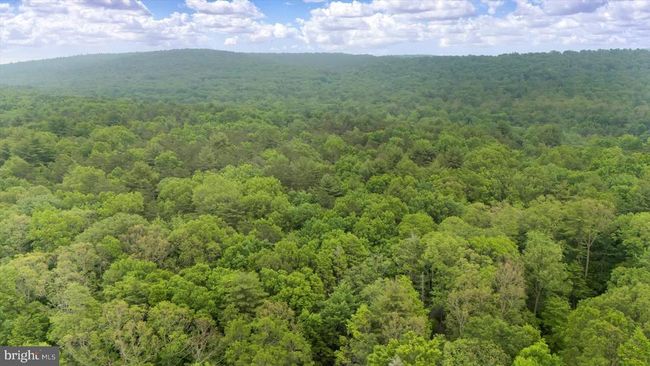 262 Vonada Gap Rd, House other with 3 bedrooms, 1 bathrooms and null parking in SPRING MILLS PA | Image 19