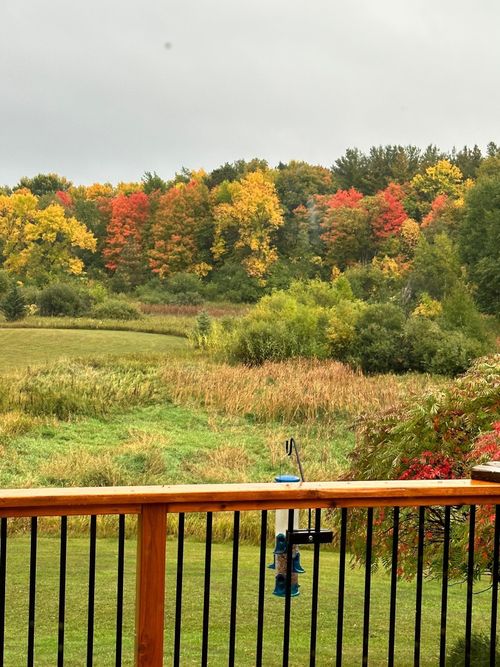 676 503rd Cir W, Stanchfield, MN, 55080-5308 | Card Image