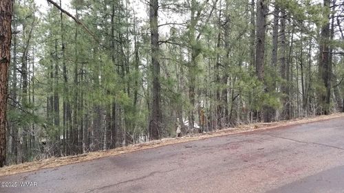 6166 Paradise Pine Ln, Pinetop, AZ, 85935-9142 | Card Image