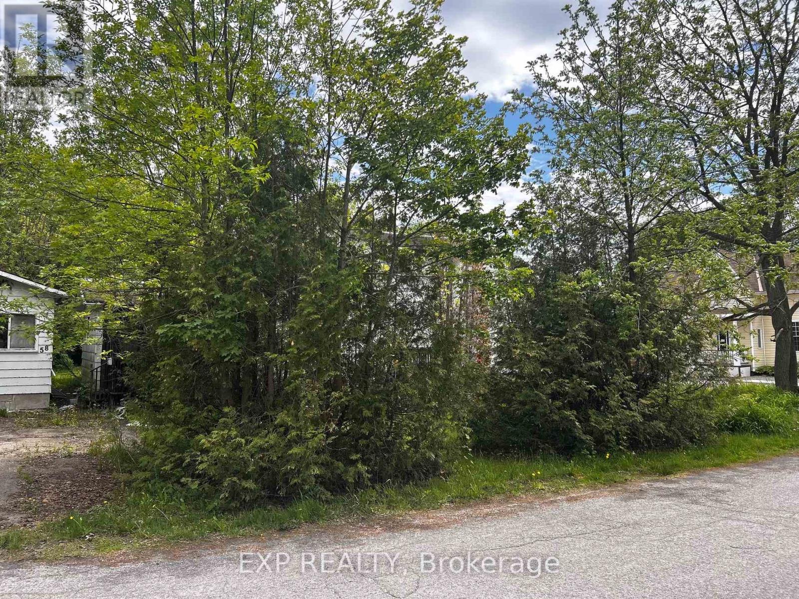 Land in Carleton Place 3
