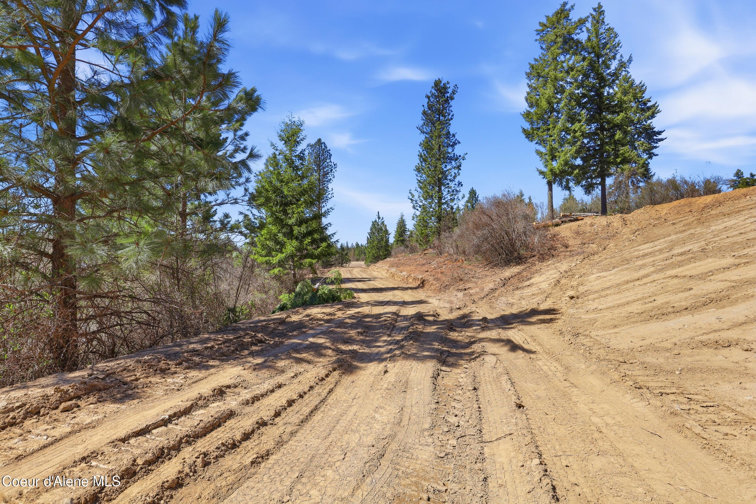 Land in Hayden 4