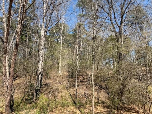 Land in Dacula 2
